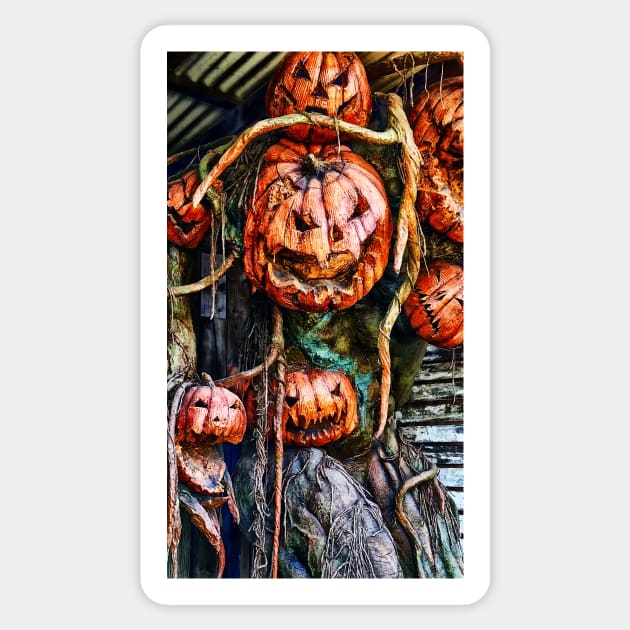 Scary Pumpkins - Halloween Sticker by JimDeFazioPhotography